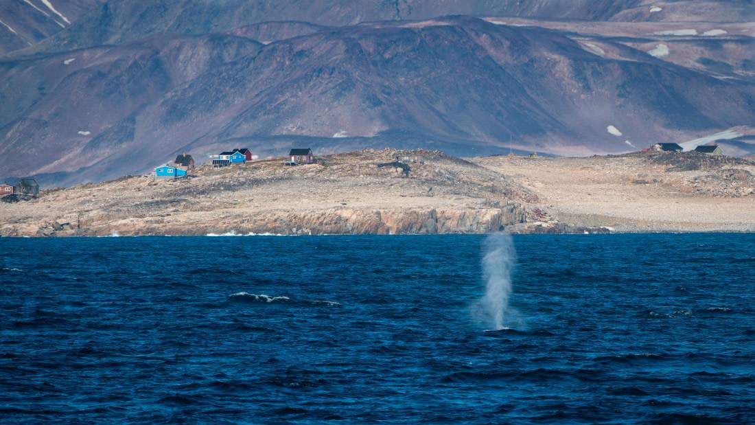 HDS11-26, Day 4, HDS11-2026_-_Sasha_-_2026-08-18_-_0019.jpg © Alexander Romanovskiy - Oceanwide Expeditions.jpg