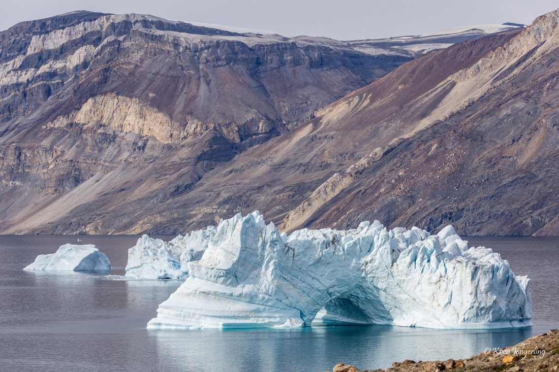 HDS11-26, Day 6, 5D5A7274.jpg © Unknown Photographer - Oceanwide Expeditions.jpg