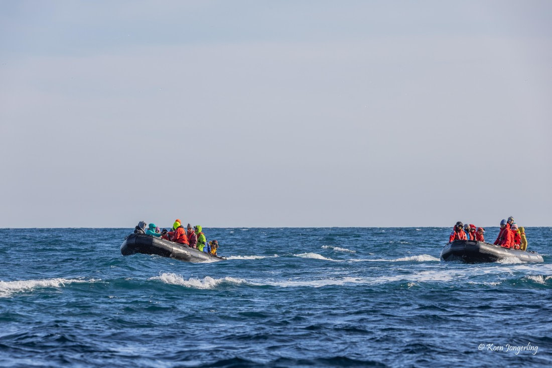 HDS11-26, Day 7, 5D5A7480.jpg © Unknown Photographer - Oceanwide Expeditions.jpg