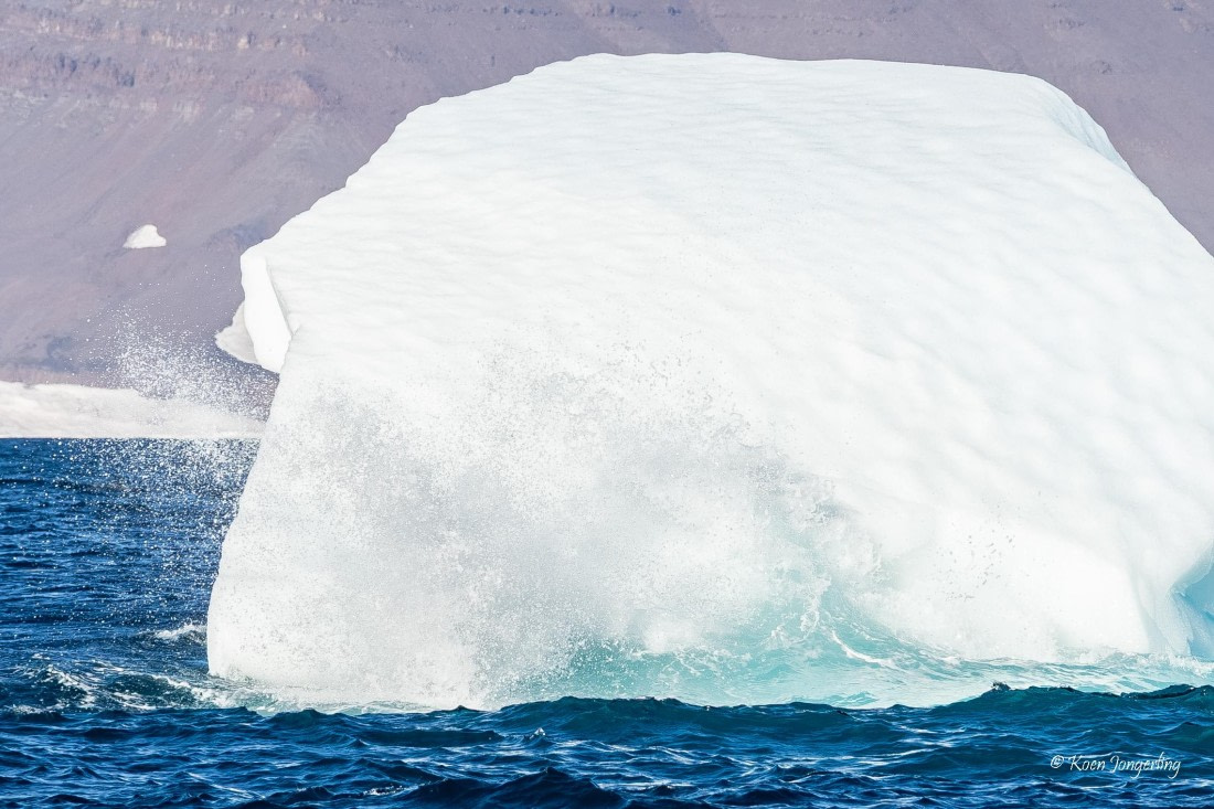 HDS11-26, Day 7, 5D5A7491.jpg © Unknown Photographer - Oceanwide Expeditions.jpg