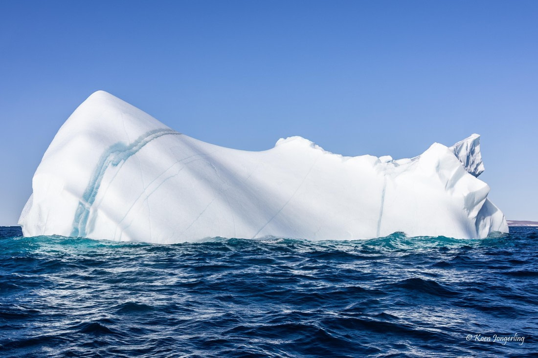 HDS11-26, Day 7, 5D5A7506.jpg © Unknown Photographer - Oceanwide Expeditions.jpg