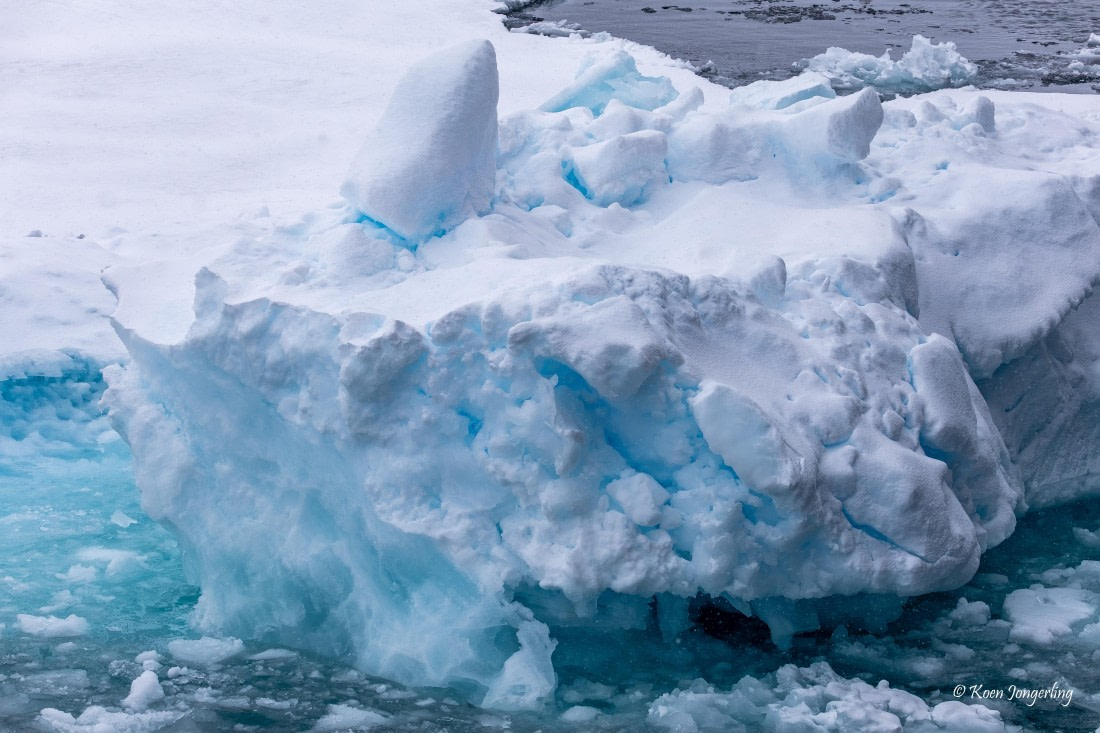 HDS11-26, Day 11, 5D5A7785.jpg © Unknown Photographer - Oceanwide Expeditions.jpg