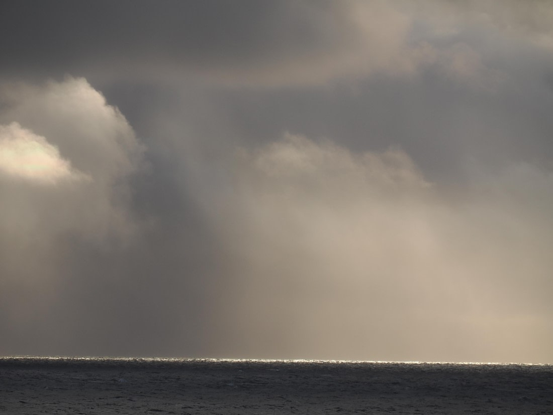 PLA12-26, Day 13, P9062725.JPG © Unknown Photographer - Oceanwide Expeditions.JPG