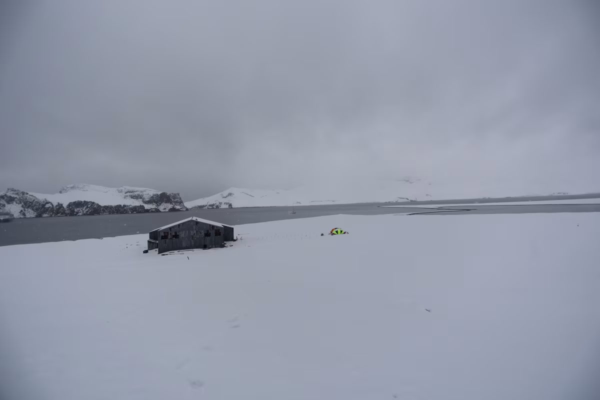 2 photo