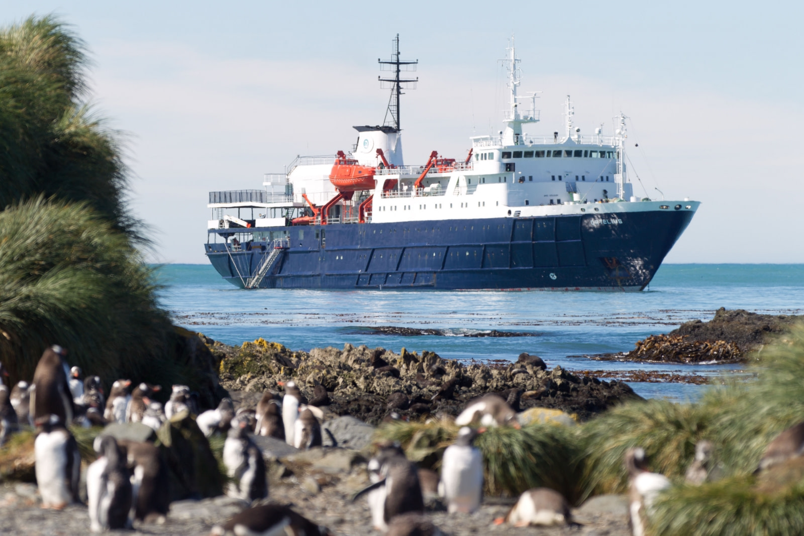 m/v Ortelius | Explore remote locations with our cruise ship m/v
