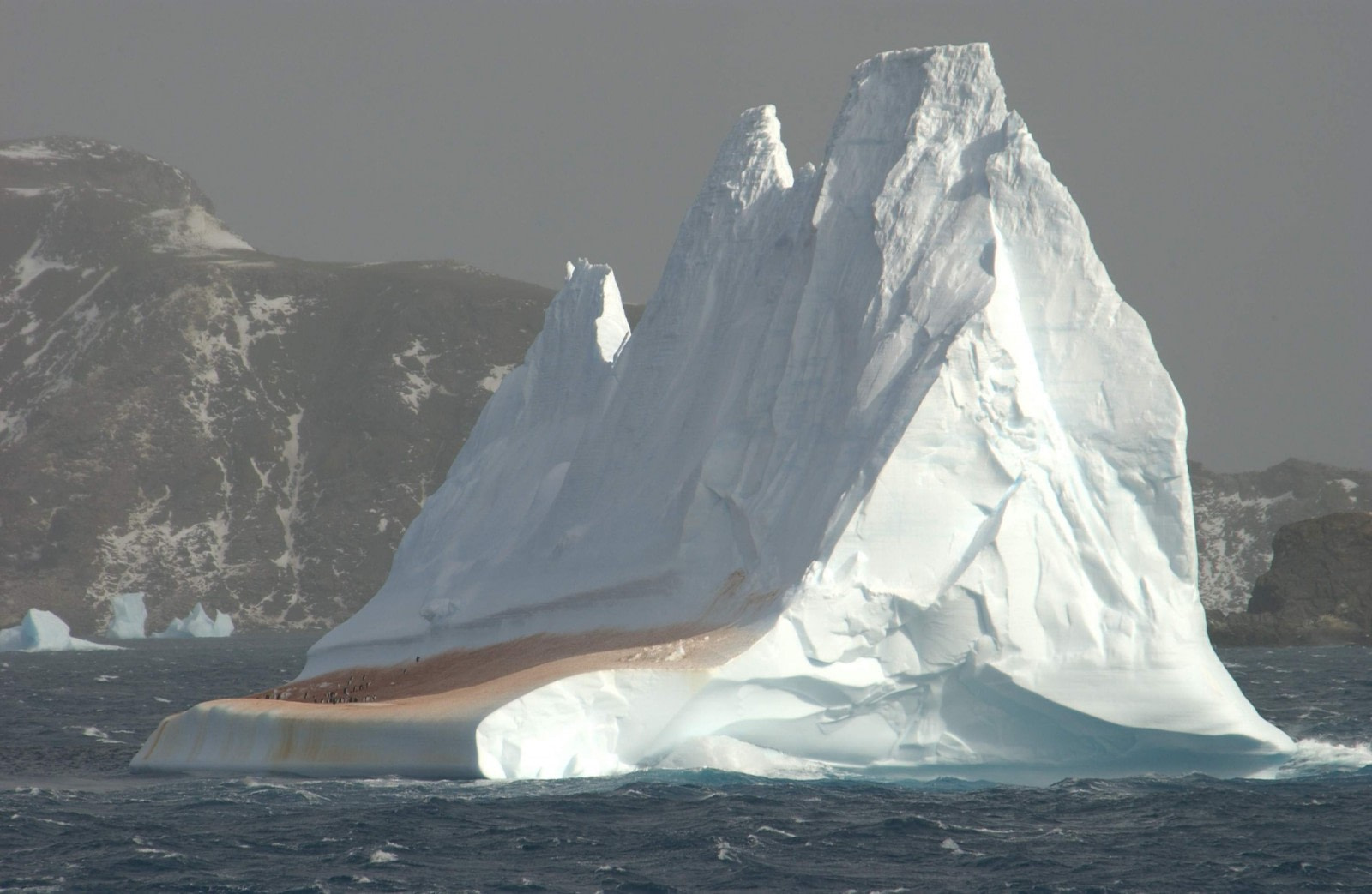 Crucero en zodiac por las Islas Orcadas del Sur