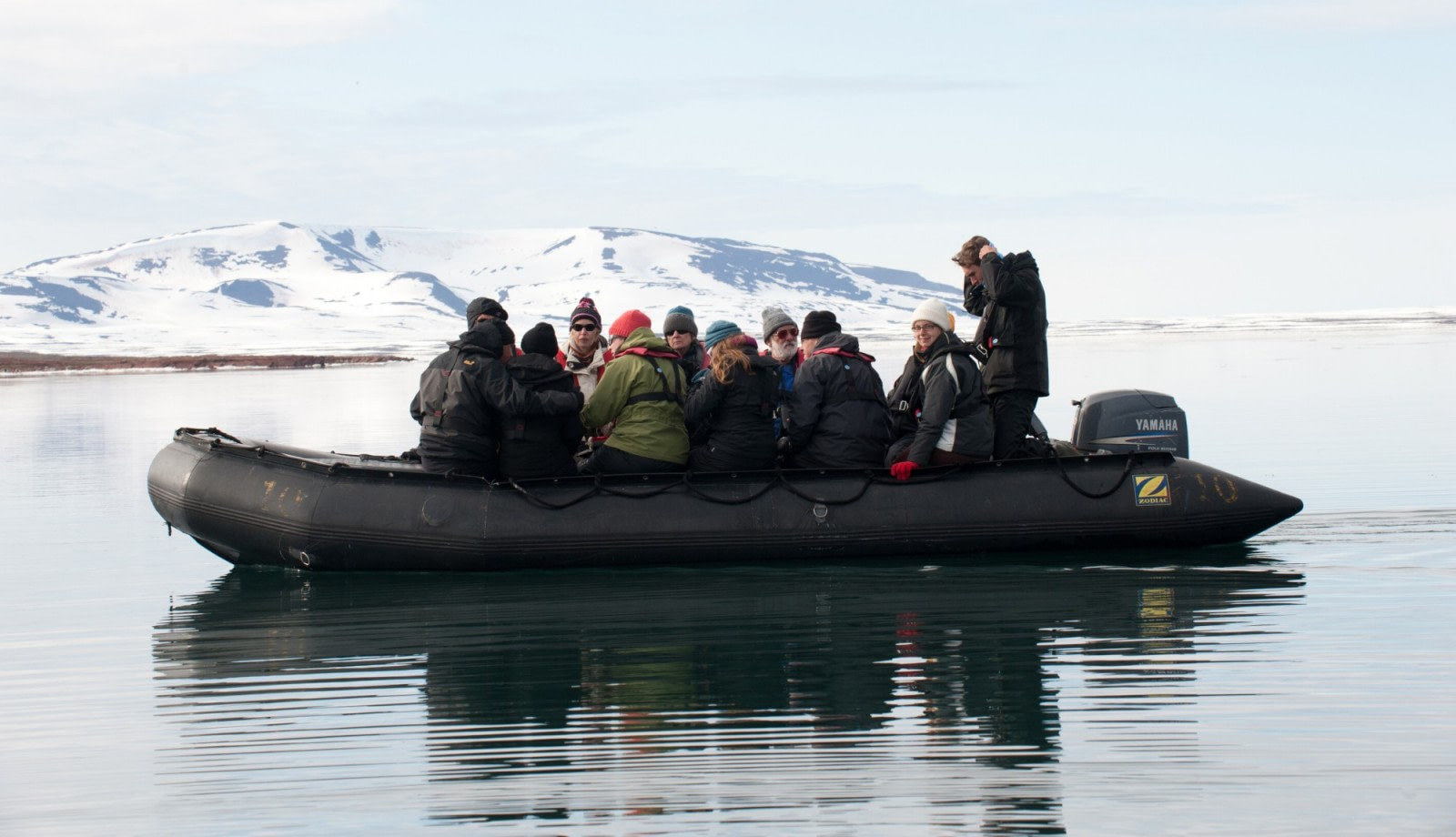 Whale spotting around Spitsbergen