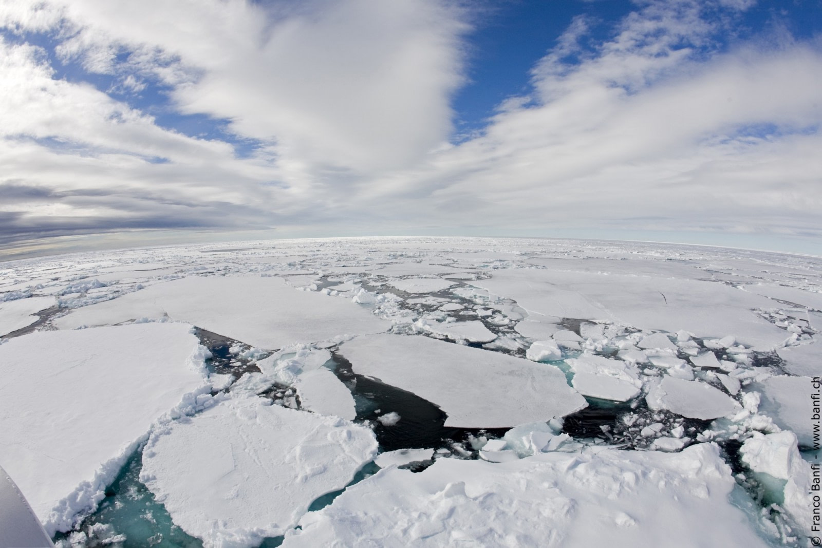 Pack Ice