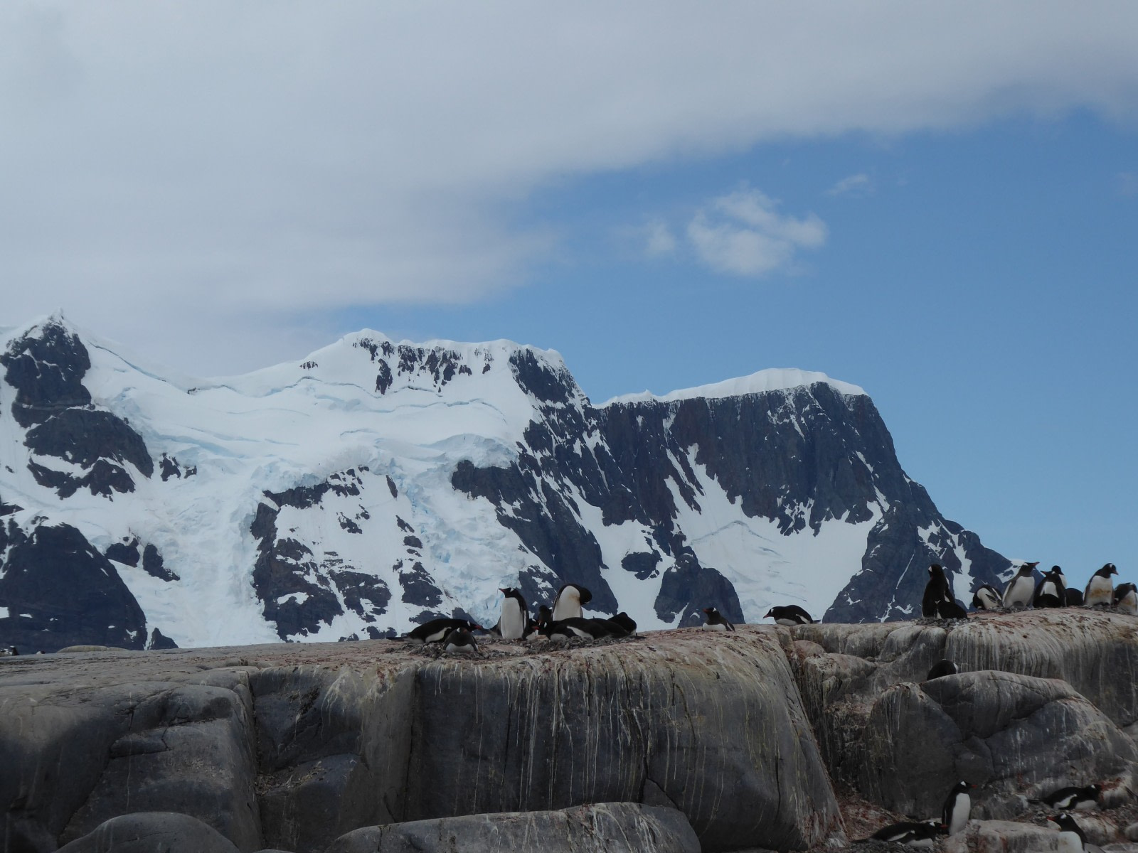 Pléneau Island