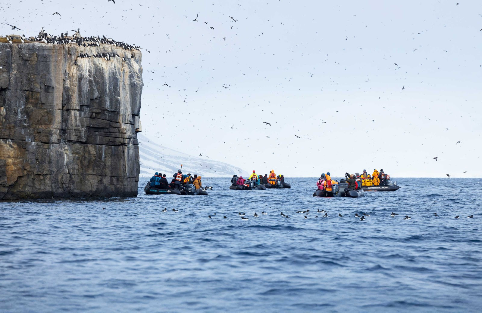 Discovery and Learning Workshops