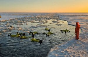 Ice Floating