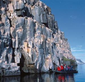 Birds of Spitsbergen Birds of Spitsbergen