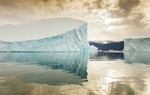 Icebergs Icebergs