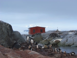 Petermann Island Petermann Island