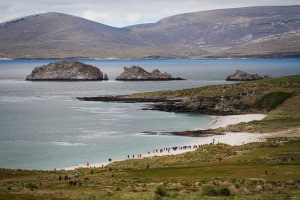 Île de la carcasse Île de la carcasse