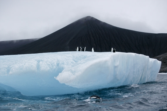 Penguins on an ice berg