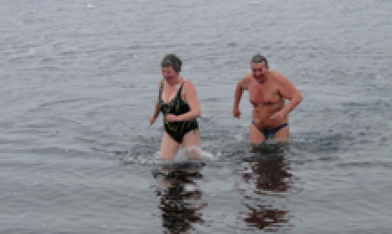 Take a plunge in Antarctic waters