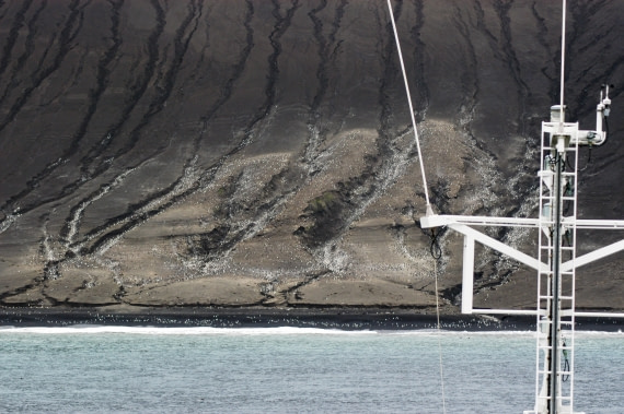South Sandwich Islands, Saunders Island