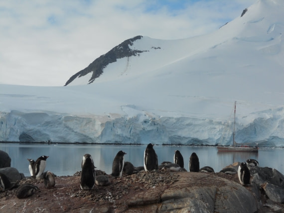 Antarctic Peninsula