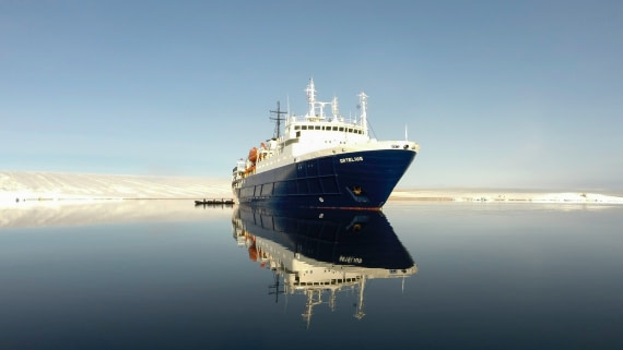 Ortelius in Torellneset Spitsbergen