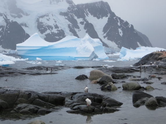 Antarctic Peninsula