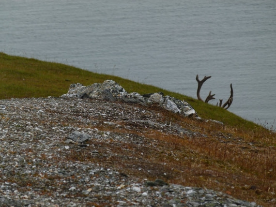 Svalbard