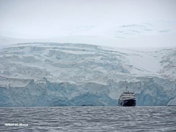 Near Point Wild, Antarctica