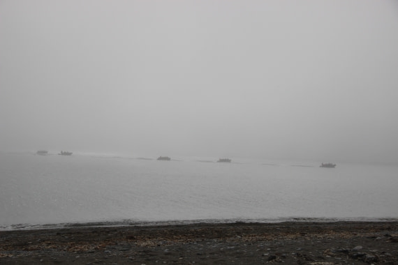 boot landing in the mist