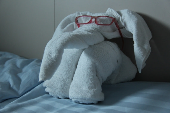 Never before I have see elephant in Arctic