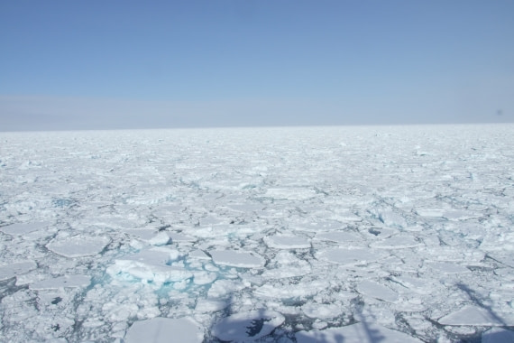 Big Ice cubes