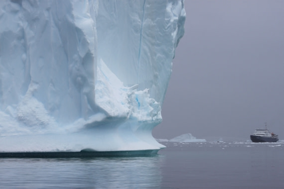 Small Plancius? or big ice?