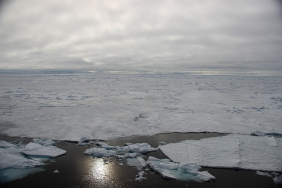 Nightfall in Svalbard