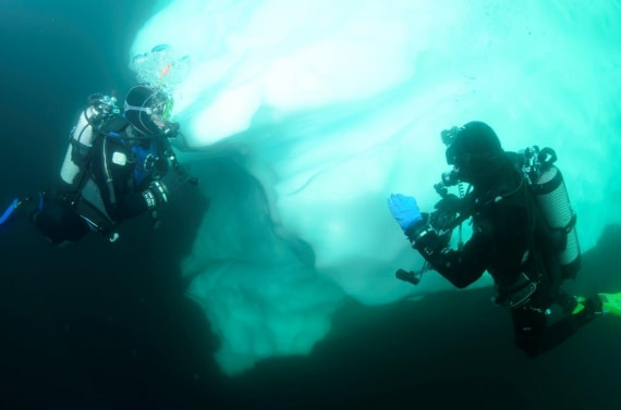 Polar Diving, Antarctica © Cyriel de Grijs - Oceanwide Expeditions.jpg