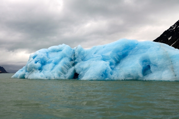 Ice