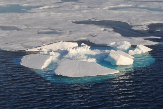 Pack Ice, Seven Islands, Spitsbergen, August © Jamie Scherbeijn-Oceanwide Expeditions.JPG