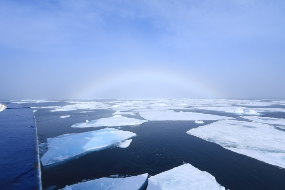 Fogbow