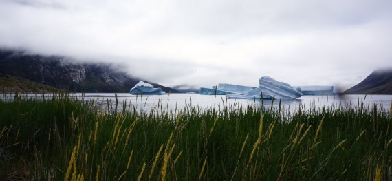 Greenland