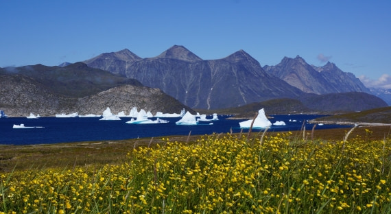 Greenland