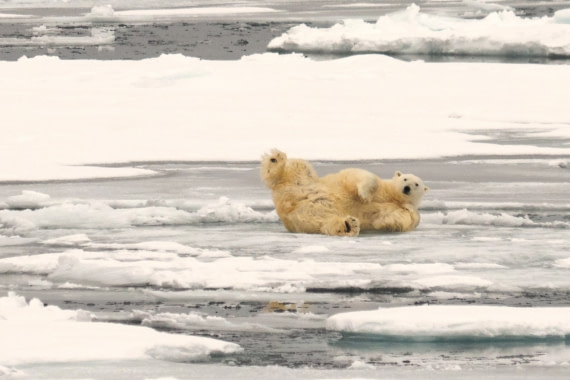 Andreas Huppert - Svalbard 08/16 - 5