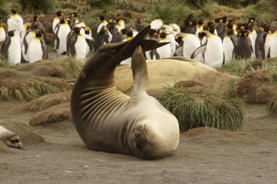 stretching exercise