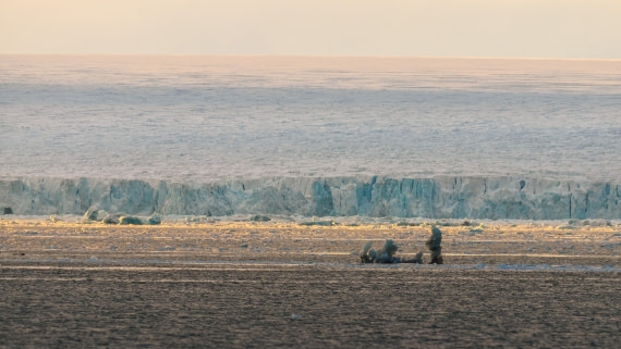 Andreas Huppert - Svalbard 08/16 - 14