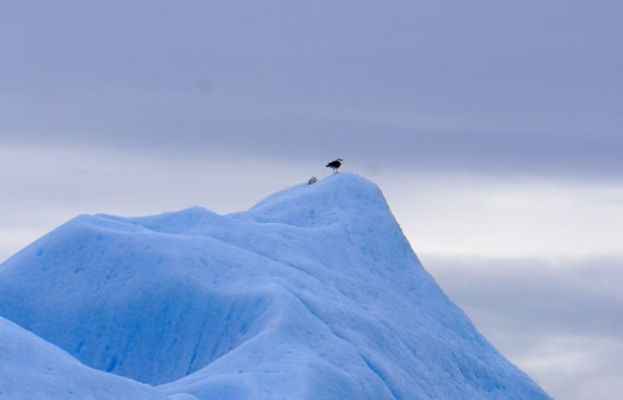 Greenland