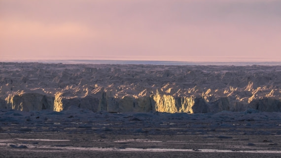 Andreas Huppert - Svalbard 08/16 - 13