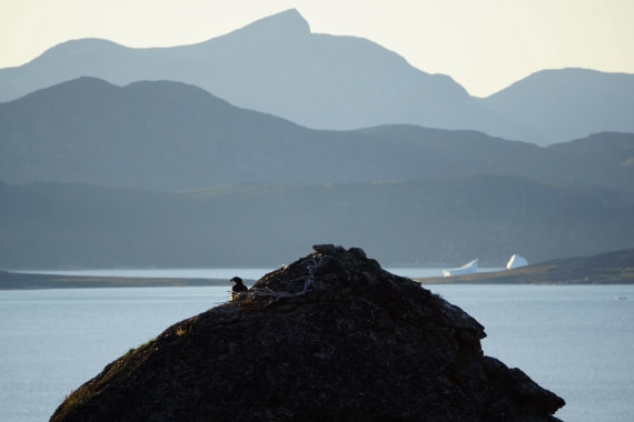 Greenland