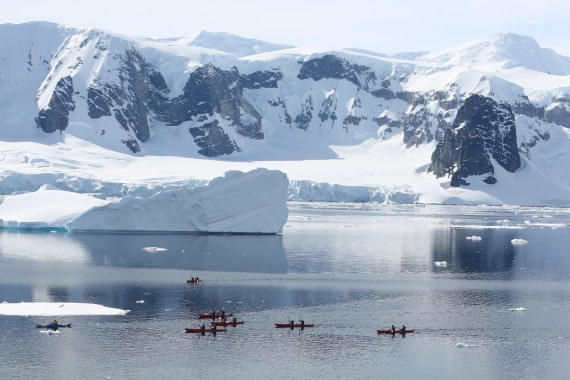 Kayakers amoungst the icebergs
