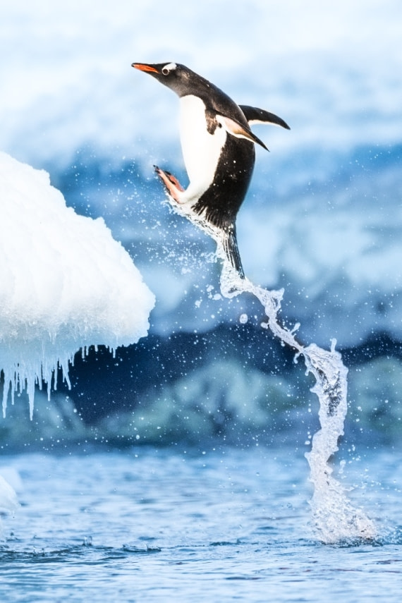 Jump!