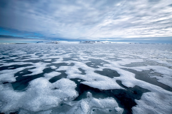 The fantastic Arctic