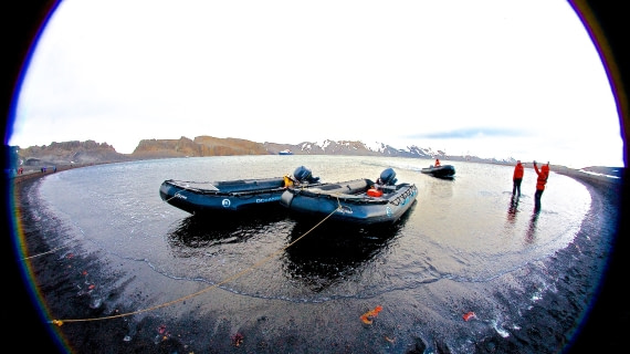 Zodiacs, Deception Island, M/V Ortelius, dec 2016
