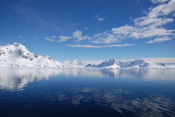 sea ice