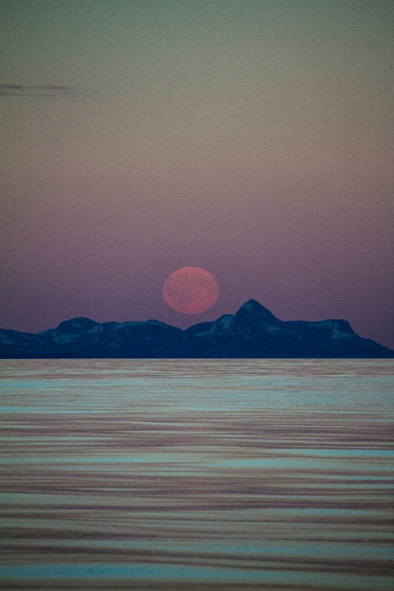 moon rise with the colors of the midnight sun